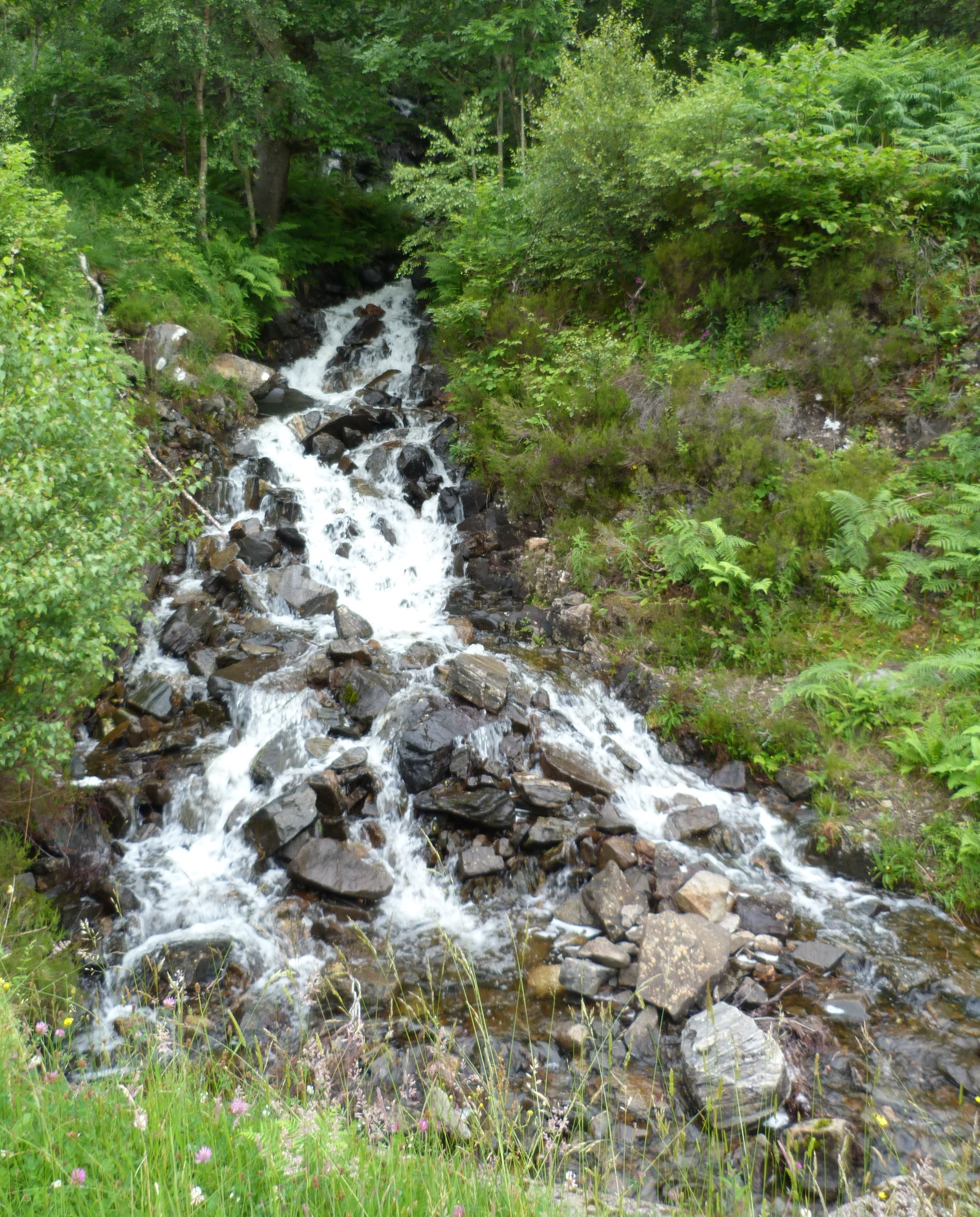 If there was a flat field with a boggy stream, they would probably give it a name. These are every 100 yards 23 Loch Moidart Waterfall.jpg